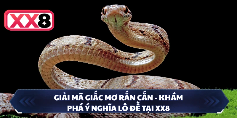 Giải Mã Giấc Mơ Rắn Cắn - Khám Phá Ý Nghĩa Lô Đề Tại XX8