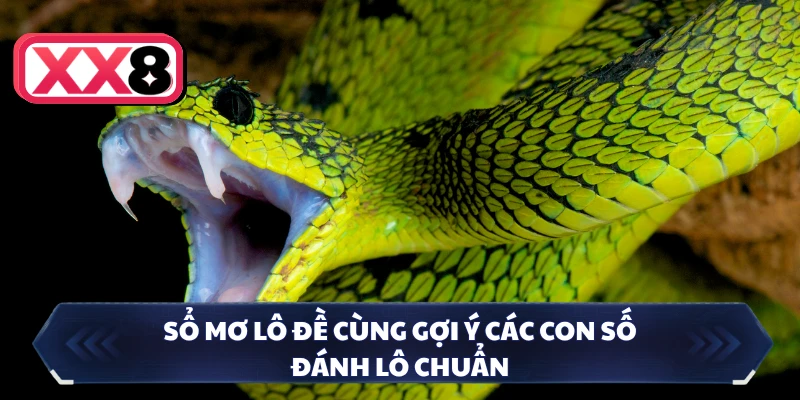 Sổ mơ lô đề cùng gợi ý các con số đánh lô chuẩn